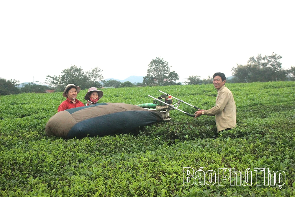 Minh Đài tiếp nối mùa vàng trù phú