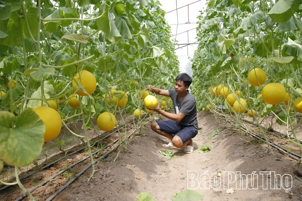 Nguyệt Đức tập trung xây dựng nông thôn mới hiện đại