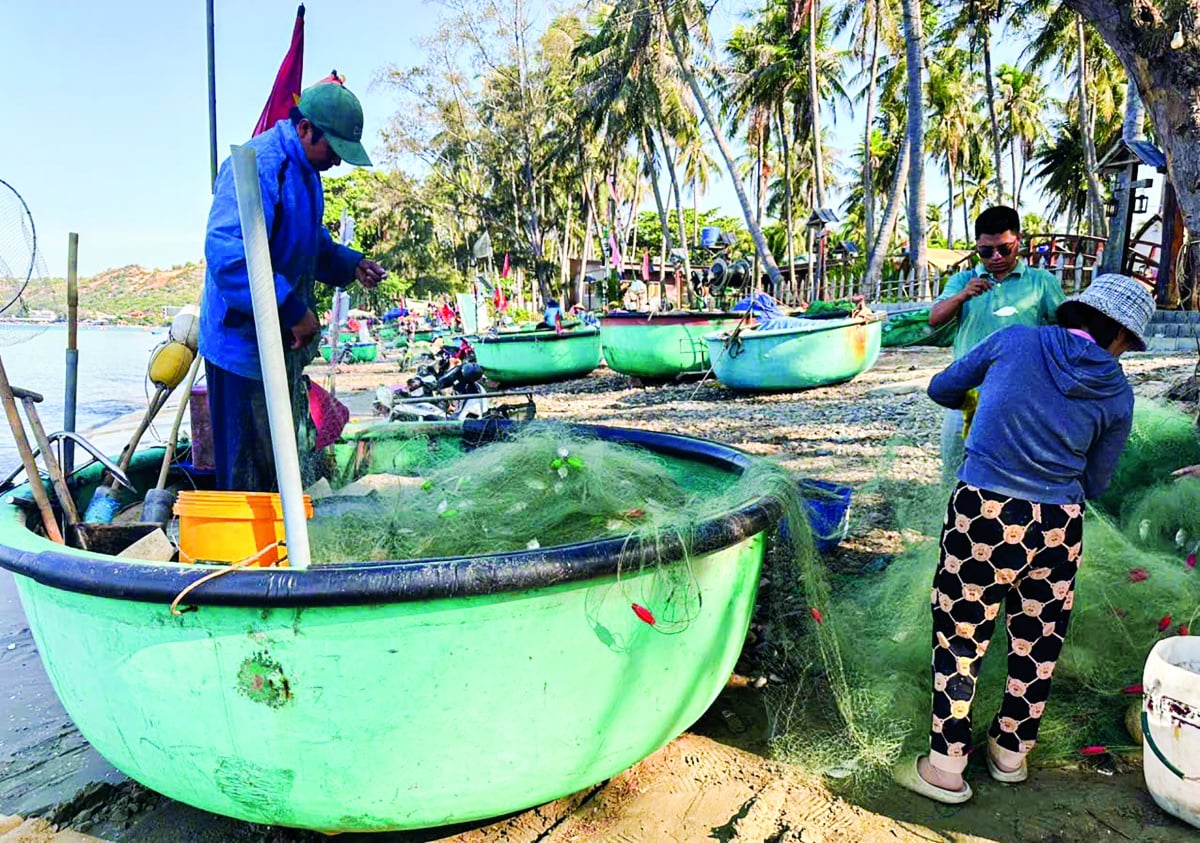 Mô hình vay vốn mua sắm ngư lưới cụ của người dân ở khu phố Long Sơn, phường Mũi Né