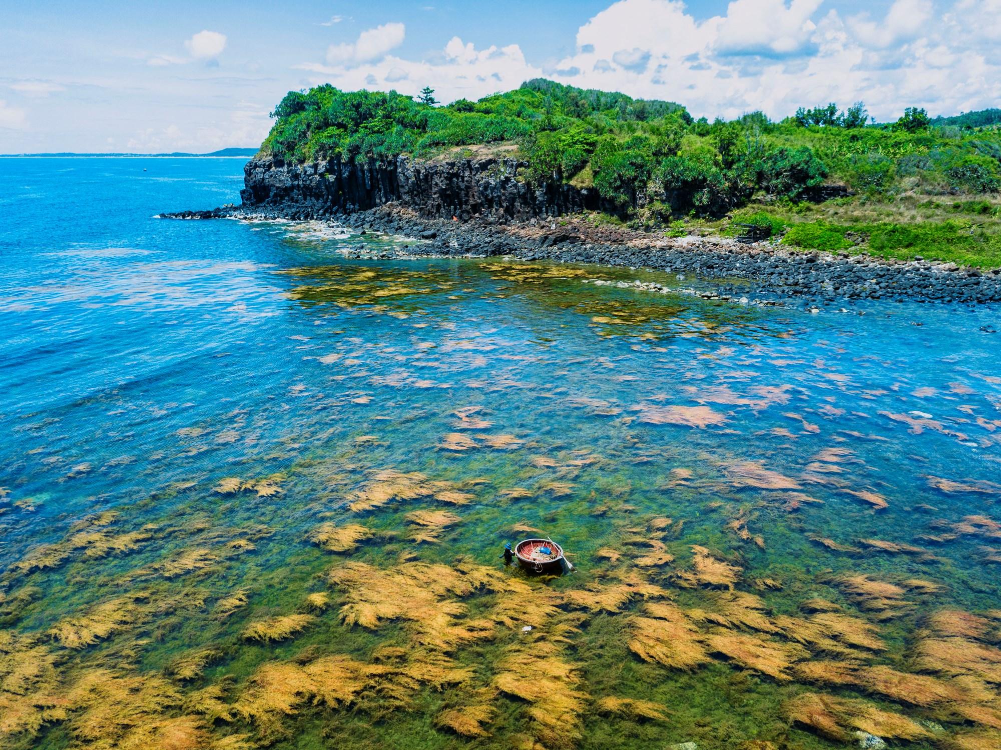 ความงดงามของฤดูสาหร่ายทะเล ณ จุดชมวิวเกาะเกียน - ภาพที่ 1