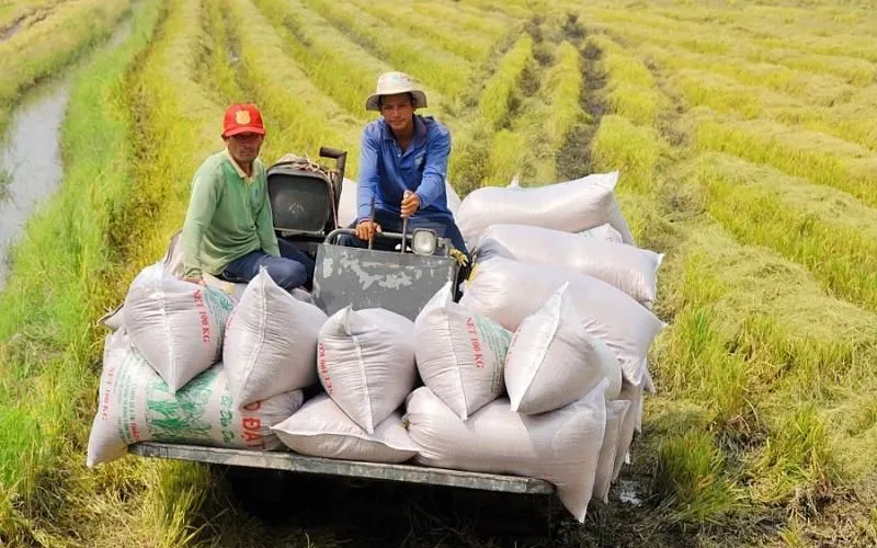 22 kawasan melaksanakan pengeluaran pengurangan pelepasan. 22 địa phương triển khai sản xuất giảm phát thải