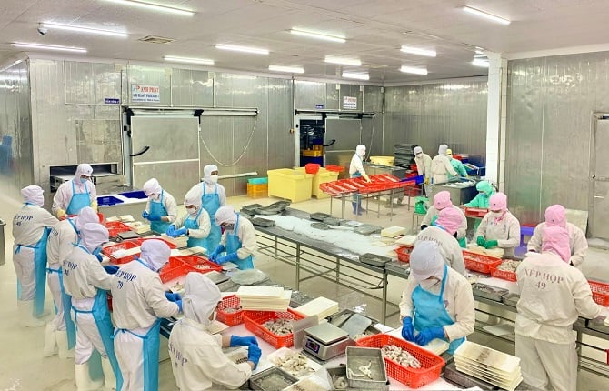 Ảnh 2: Công nhân chế biến tôm đông lạnh tại nhà máy trên địa bàn Giá Rai.