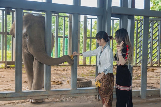 Chàng trai Việt - Lào 'thắp lửa' du lịch Buôn Đôn- Ảnh 2.