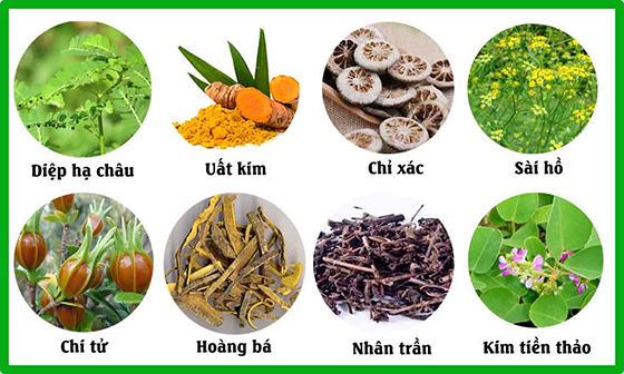 Sỏi túi mật hình thành do đâu và cách phòng ngừa hiệu quả- Ảnh 3.