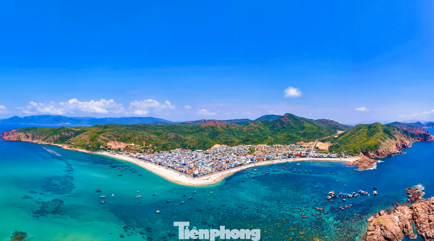 tp-c_rong-0.jpg