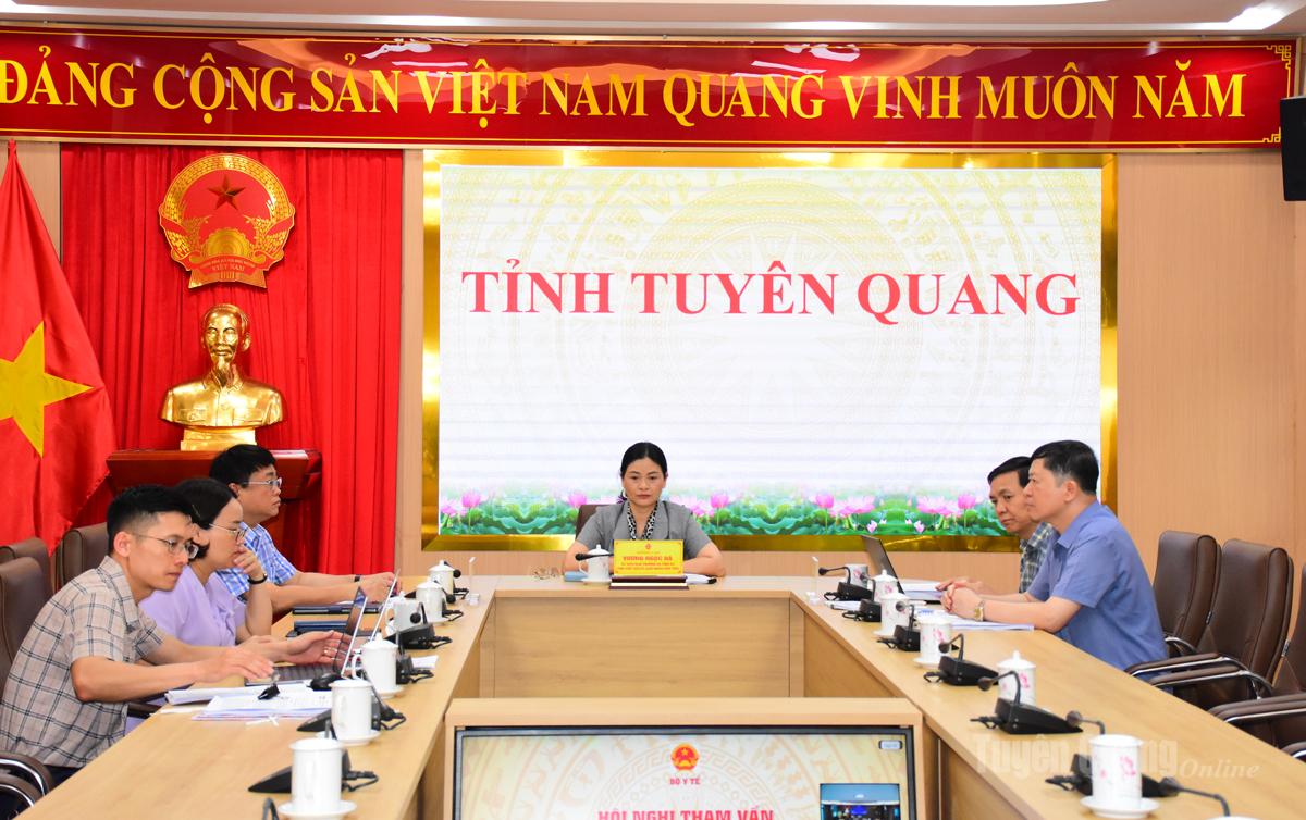 Đồng chí Vương Ngọc Hà, Uỷ viên Ban Thường vụ Tỉnh uỷ, Phó Chủ tịch UBND tỉnh chủ trì tại điểm cầu tỉnh Tuyên Quang.
