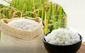 Thương lái thu mua lúa gạo tại khu vực Đồng bằng sông Cửu Long