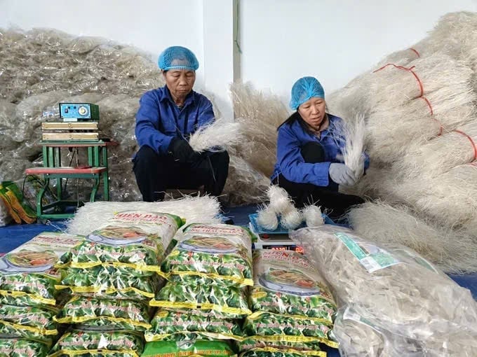 Lao Cai vise également à améliorer la qualité des ressources humaines au service du programme « Une commune, un produit » (OCOP) d’ici 2026. Photo : Thanh Tien. Lào Cai cũng đặt mục tiêu nâng cao chất lượng nguồn nhân lực phục vụ Chương trình Mỗi xã một sản phẩm (OCOP) năm 2026. Ảnh: Thanh Tiến.