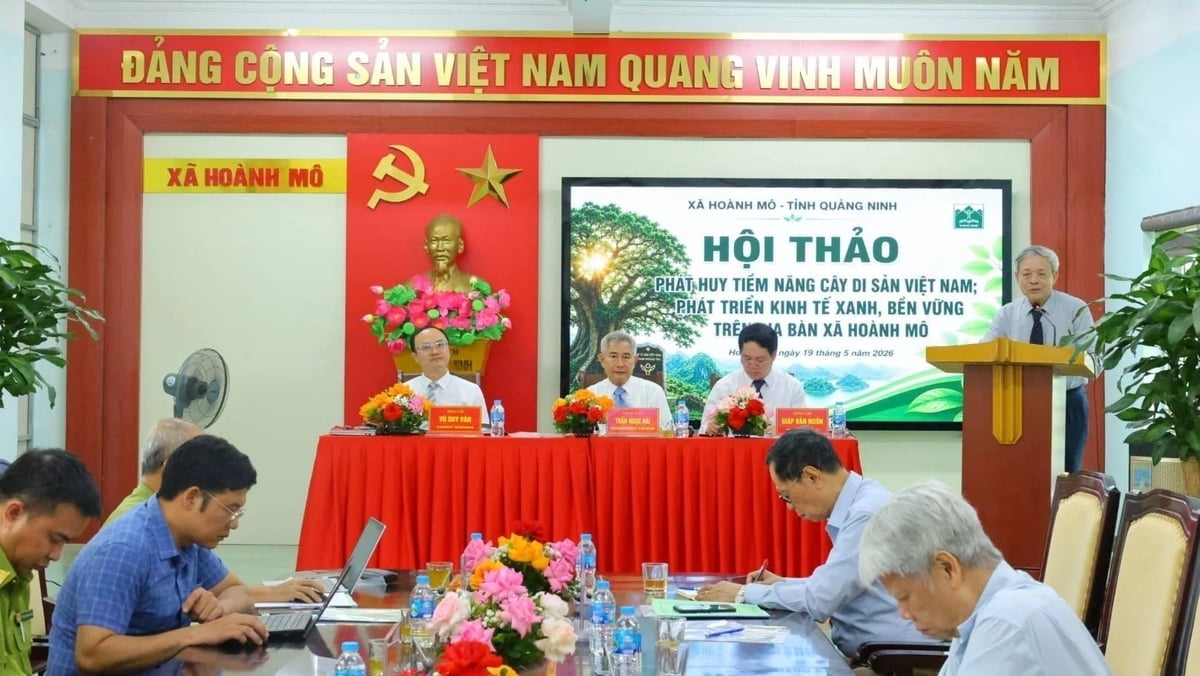 Xã Hoành Mô đã xây dựng đề án phát triển du lịch với định hướng khai thác hiệu quả các lợi thế sinh thái, cảnh quan và văn hóa bản địa. Ảnh: Nguyễn Thành.