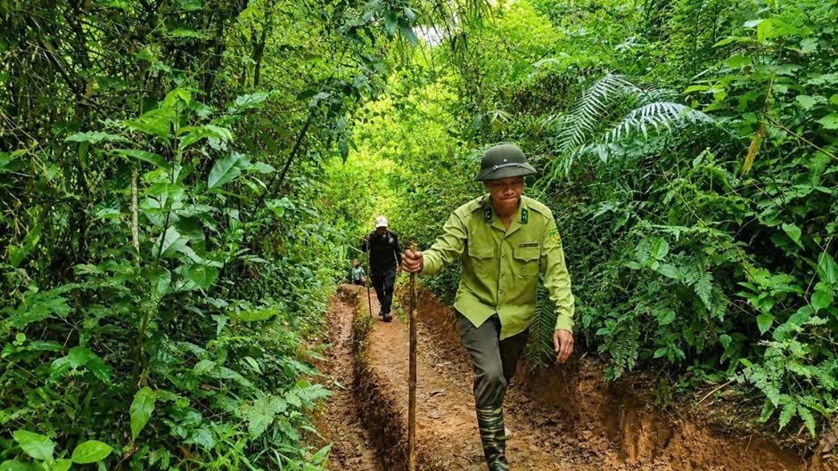 Lực lượng quản lý, bảo vệ rừng tham gia rà soát thực địa tại khu vực đất lâm nghiệp trên địa bàn Lâm Đồng. Ảnh: Phạm Hoài.