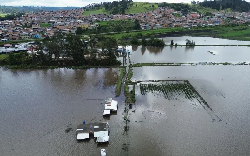 Một trang trại dâu tây bị ngập sau mưa lớn tại Facatativa, Colombia, ngày 20/3/2026. (Ảnh: AP)