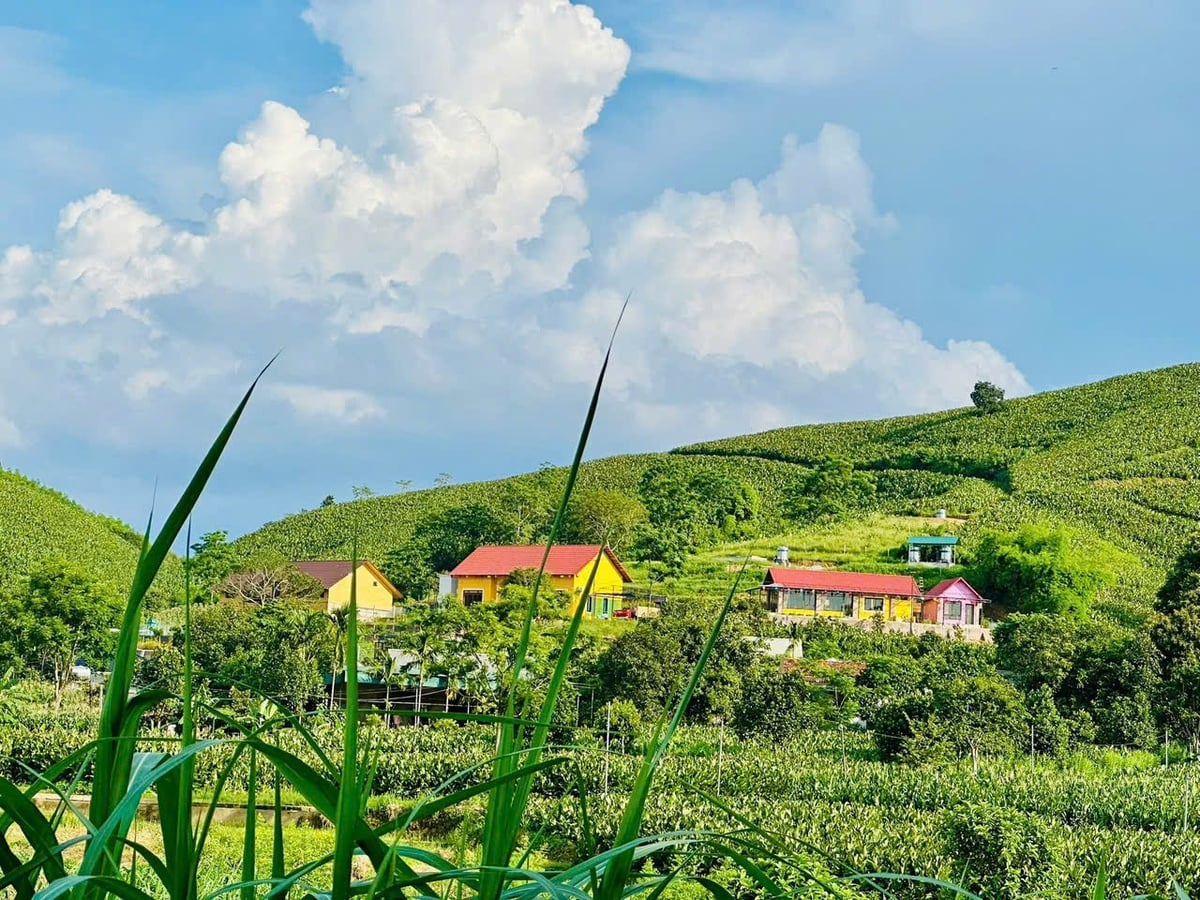 Lớp học tiếng Anh "0" đồng ở Khánh Thượng- Ảnh 1.