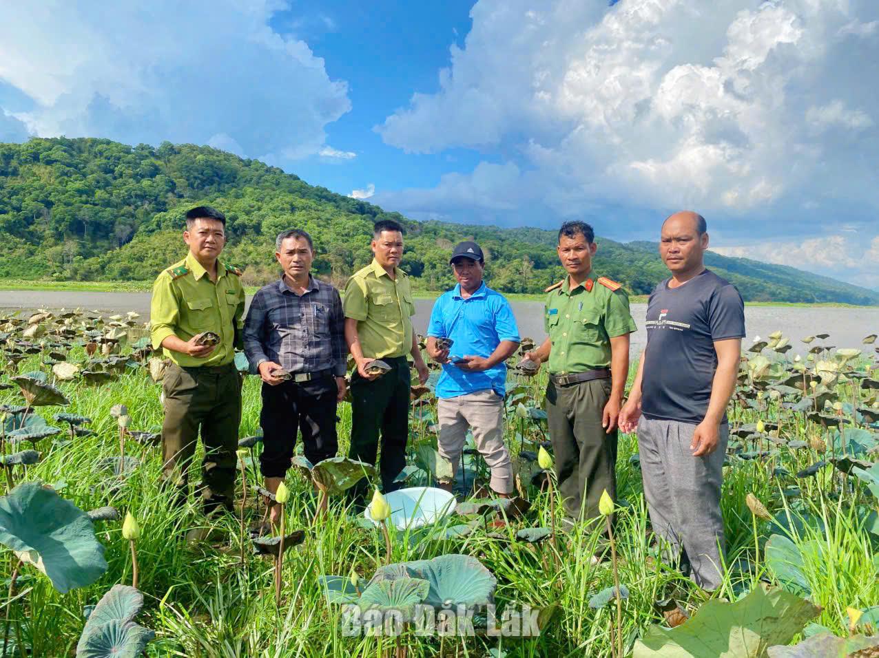 Lực lượng chức năng thả các cá thể rùa về môi trường tự nhiên.