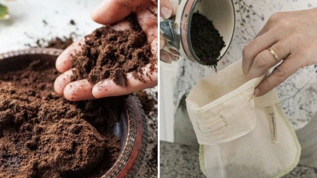 Lợi ích vượt trội của bã cà phê đối với làn da - Ảnh 3.