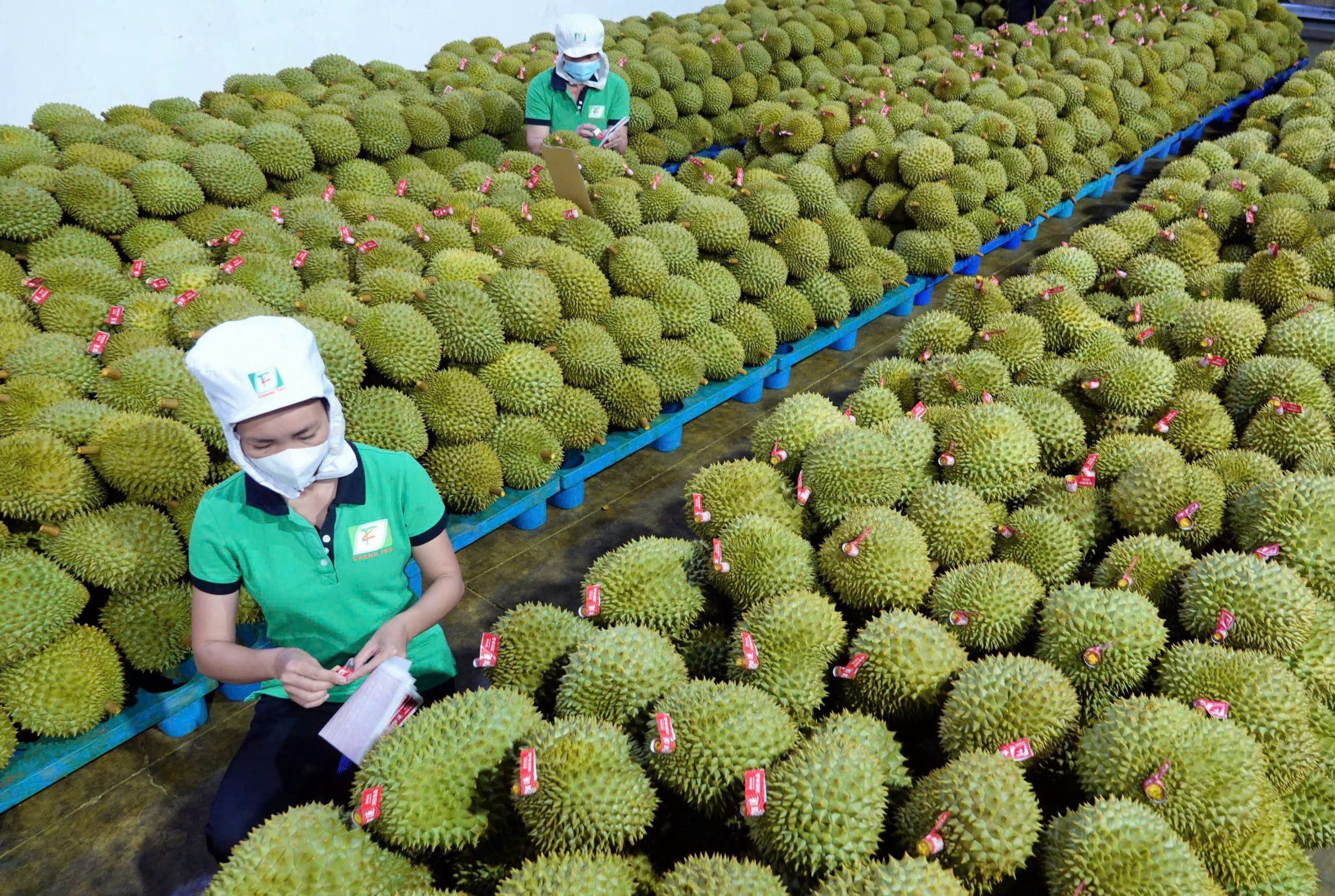 Khơi dậy khát vọng làm giàu - Ảnh 1.