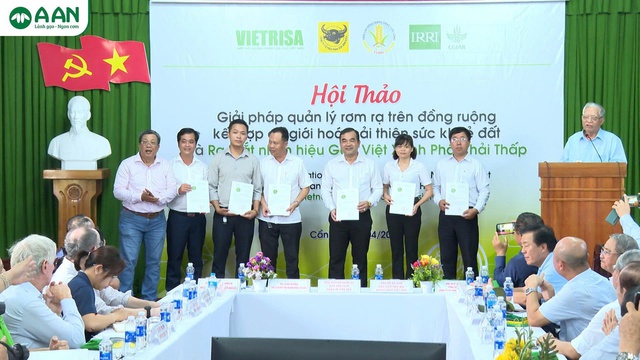 Beras Vietnam: daripada yang paling sedap hingga yang 'paling hijau' di dunia - Foto 3. Gạo Việt từ ngon nhất đến 'xanh' nhất thế giới- Ảnh 3.