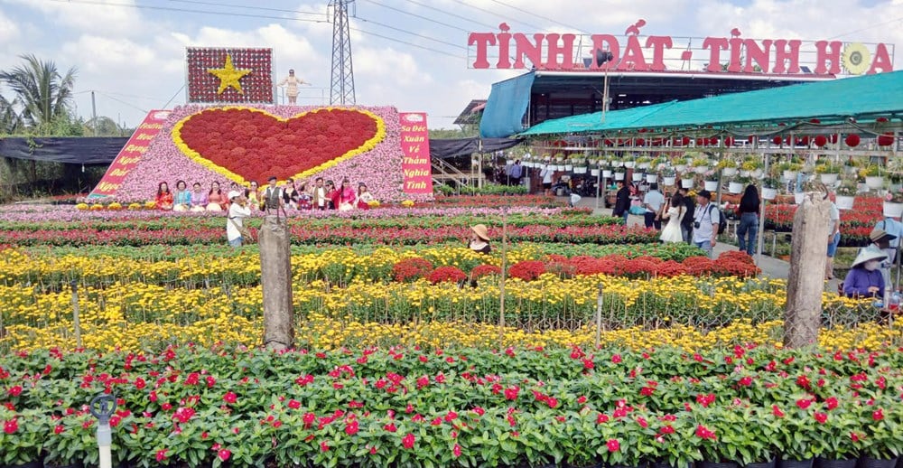 Đồng Tháp phát triển du lịch trở thành ngành dịch vụ quan trọng  - ảnh 1
