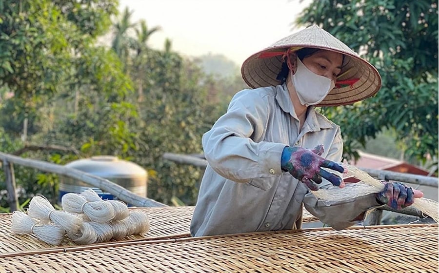 Miến Thái Phiên được làm từ 100% tinh bột dong riềng nguyên chất, tuyệt đối không dùng chất tẩy trắng. Ảnh: TTKN.