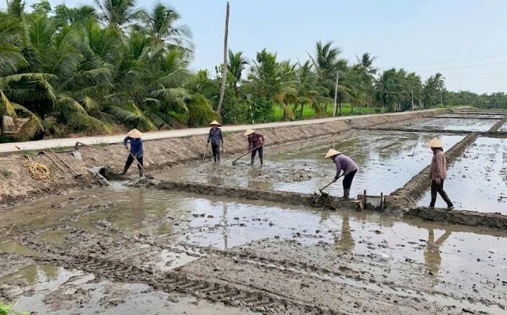 Bewohner der Gemeinde Hung Hoa in der Provinz Vinh Long verstärken die Deiche, um die Sommer-Herbst-Aussaat vorzubereiten. Foto: Ho Thao. Người dân xã Hùng Hòa, tỉnh Vĩnh Long gia cố đê bao, chuẩn bị xuống giống vụ hè thu. Ảnh: Hồ Thảo.