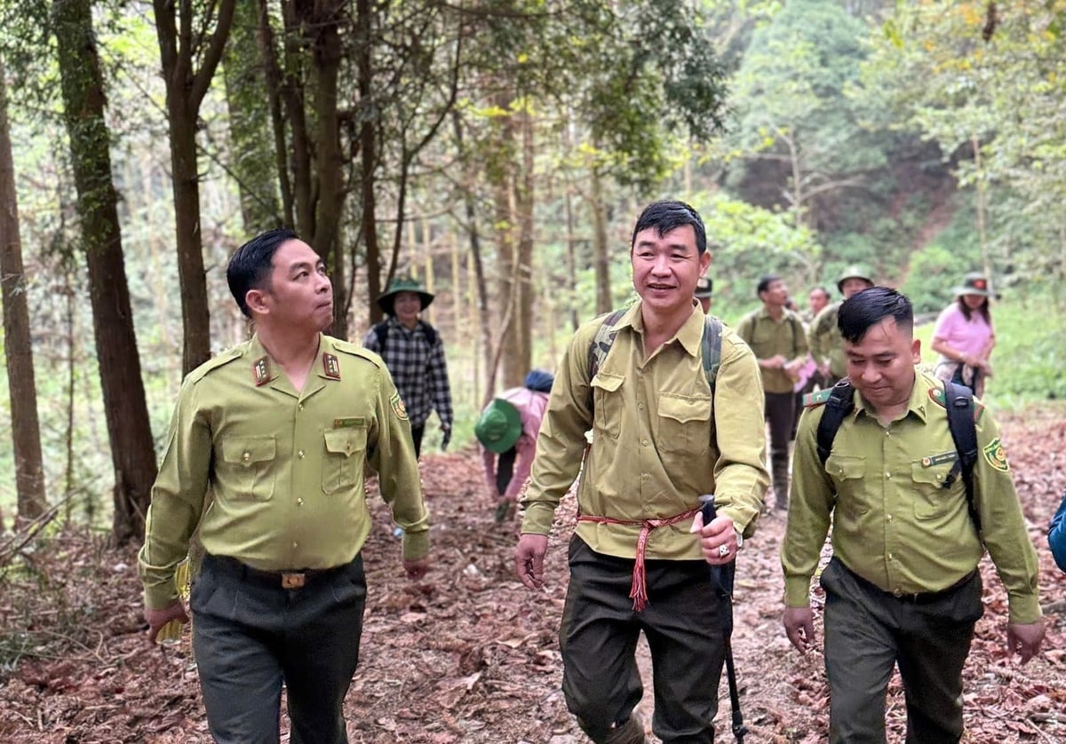 Cán bộ, chiến sỹ kiểm lâm Tuyên Quang tăng cường tuần tra, nhằm kịp thời phát hiện những khu vực có nguy cơ cháy rừng cao để cảnh báo người dân. Ảnh: Đào Thanh.