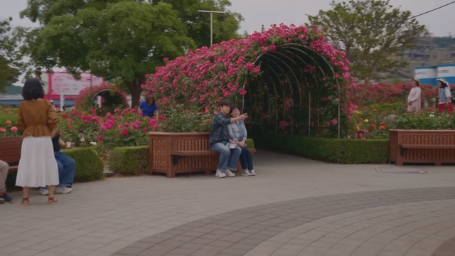 Hàn Quốc: Vương quốc Hoa hồng tại Gangwon- Ảnh 1.