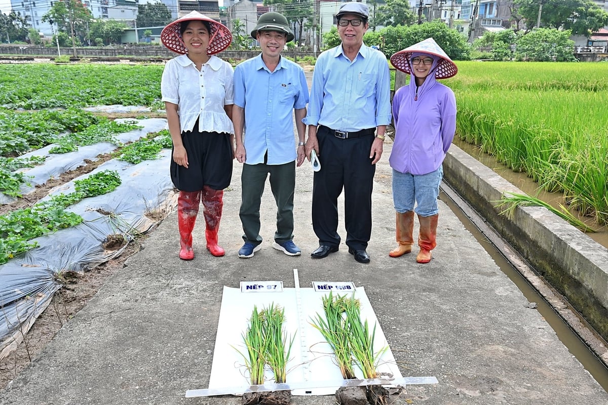 O Professor Associado Dr. Le Vinh Thao (segundo da direita) com funcionários do Centro de Transferência de Tecnologia e Extensão Agrícola. Foto: Bao Thang. PGS.TS Lê Vĩnh Thảo (thứ 2 từ phải sang) bên cán bộ Trung tâm Chuyển giao Công nghệ và Khuyến nông. Ảnh: Bảo Thắng.
