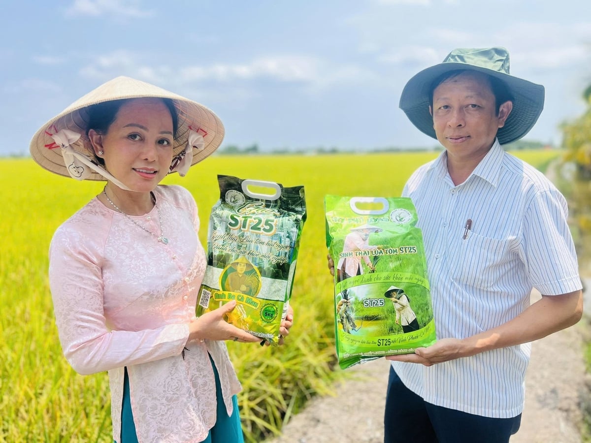 Những bao gạo màu xanh mang thương hiệu 'HTX Phú Long - Sinh thái lúa tôm ST25' là mồ hôi của người dân vùng đất mặn Cà Mau. Ảnh: Trọng Linh.