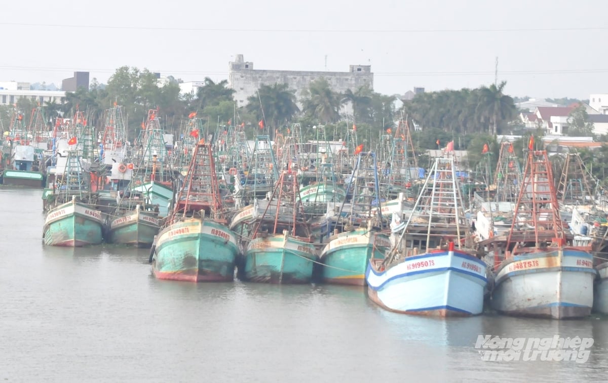 An Giang hỗ trợ các tổ chức, cá nhân có tàu cá chiều dài lớn nhất từ 15m trở lên. Ảnh: Trung Chánh.