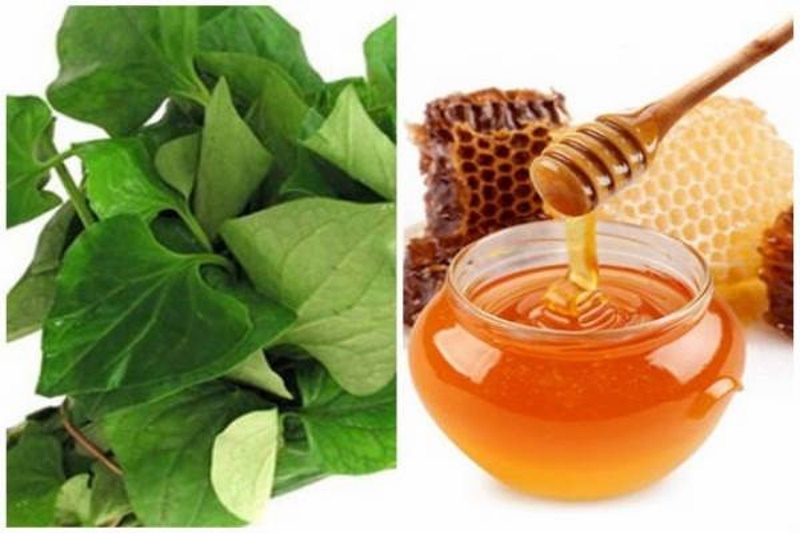 Tác dụng hỗ trợ cải thiện táo bón của rau diếp cá- Ảnh 3.