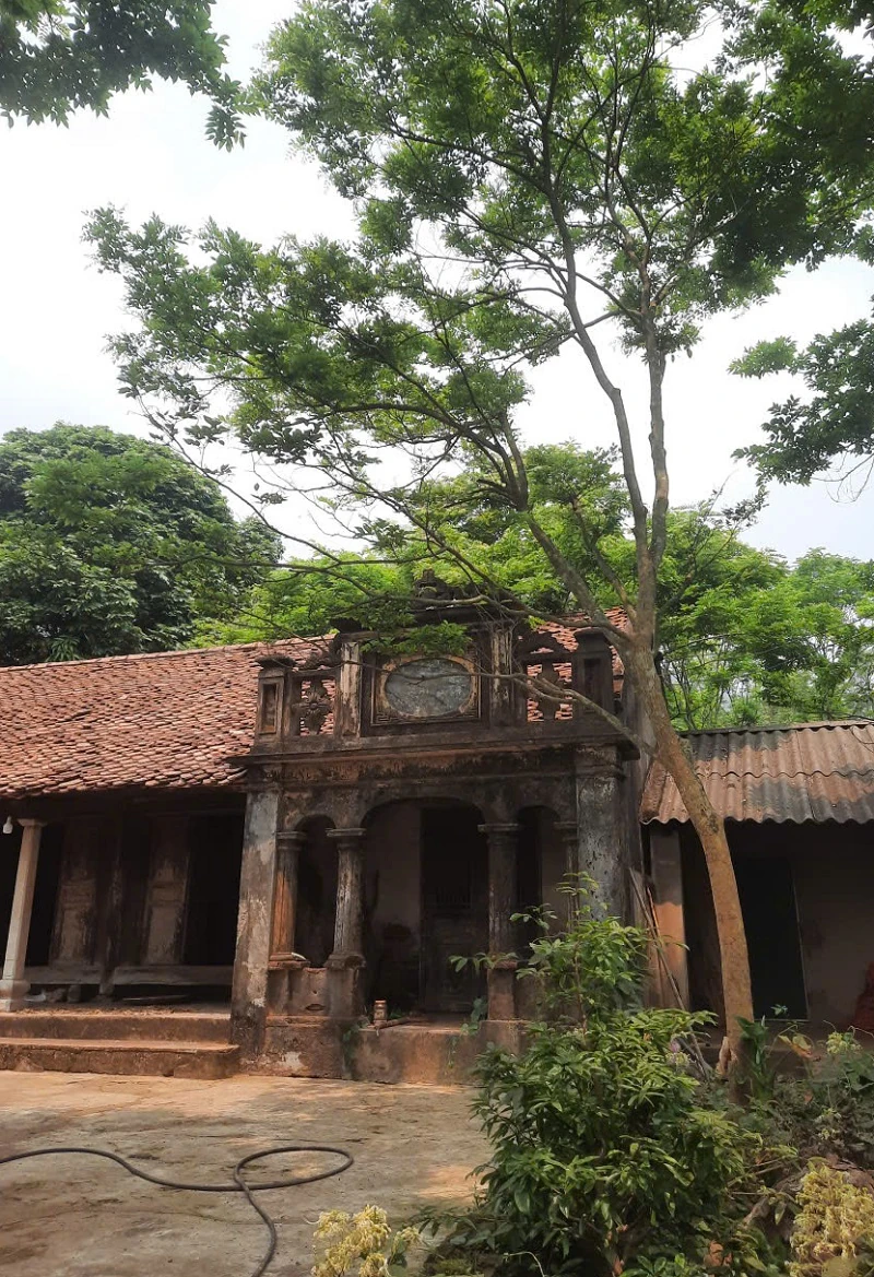 Maison unique en bois de fer, datant de près de cent ans.