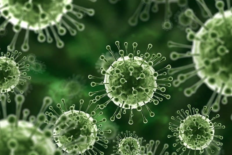 Virus Nipah chưa có vaccine hay thuốc đặc trị theo WHO