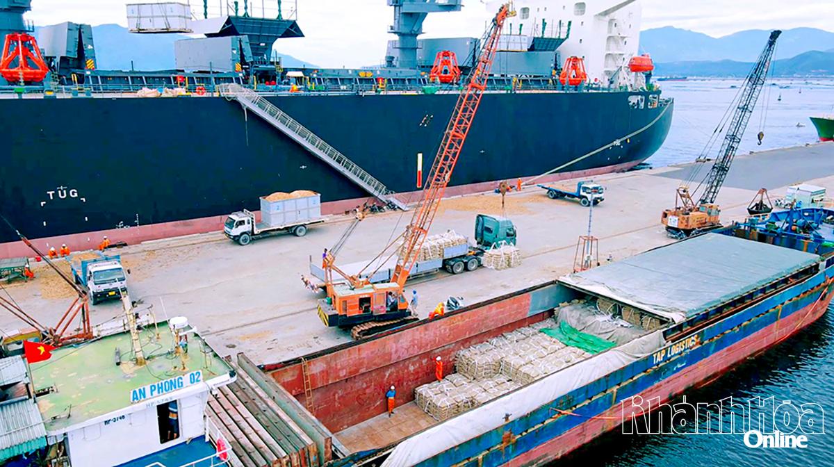 Carregamento e descarregamento de mercadorias no porto de Cam Ranh.
