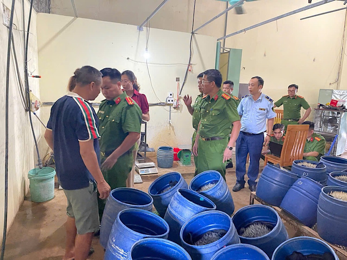 Phát hiện cơ sở sản xuất giá đỗ sử dụng chất cấm- Ảnh 1.