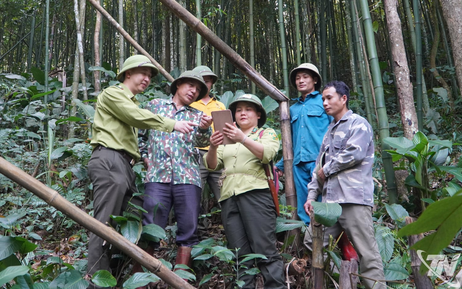 Mme Nong Thuy Dung (district forestier n° 4), accompagnée de ses collègues et des habitants locaux, a effectué une inspection de la zone, contribuant ainsi à améliorer l'efficacité de la gestion et de la protection des forêts.