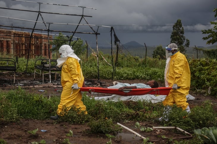 ebola - Ảnh 1.