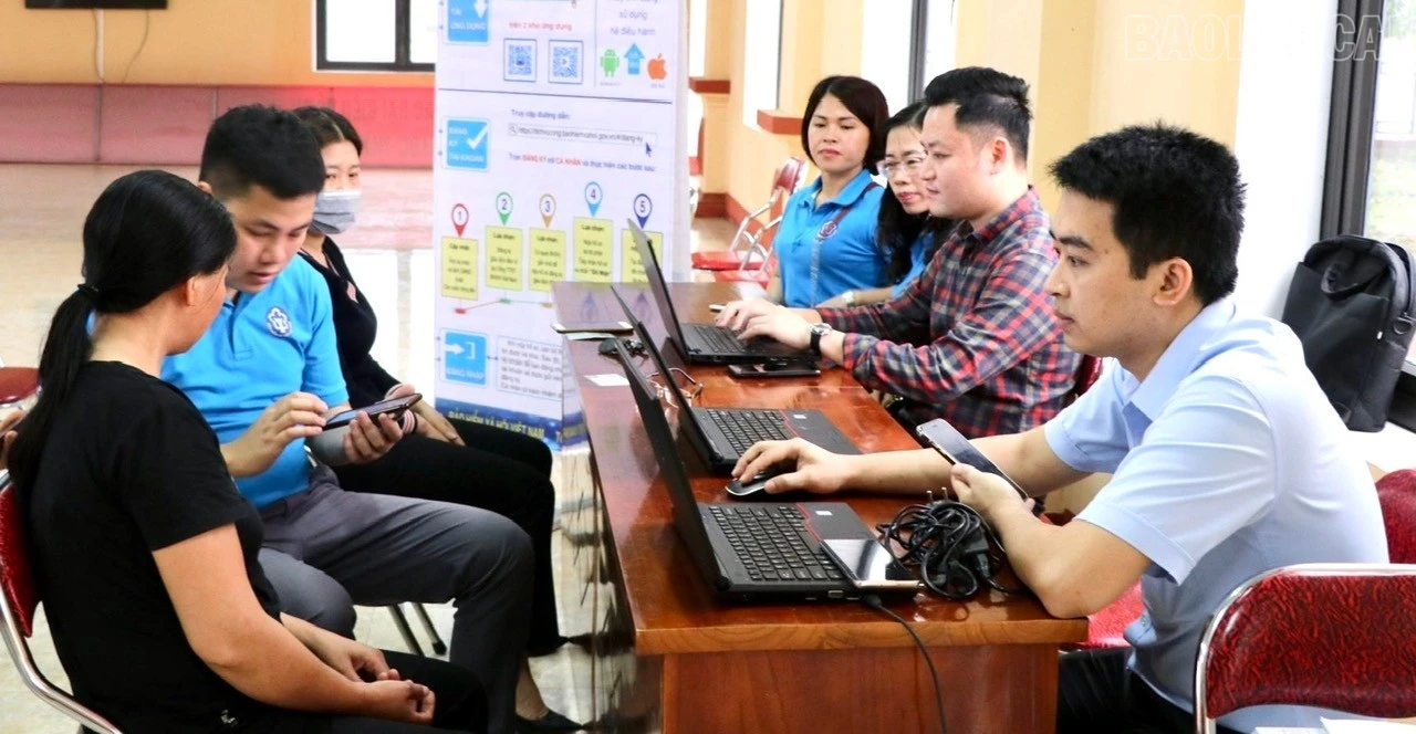 baolaocai-tr_z7852555508989-adde5c88d1399743d2e665739c35911f.jpg