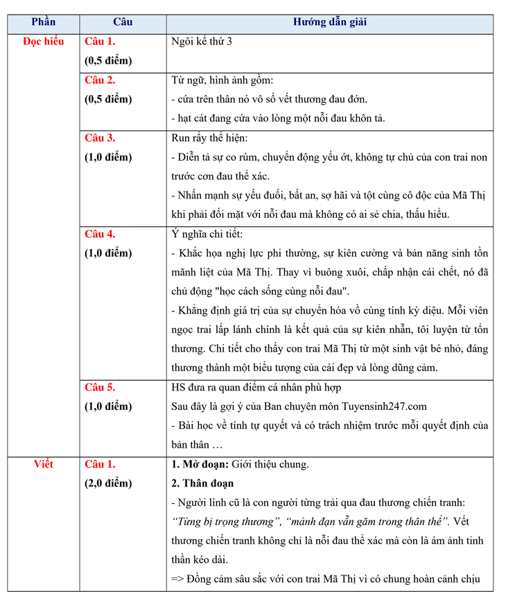 đề văn - Ảnh 11.
