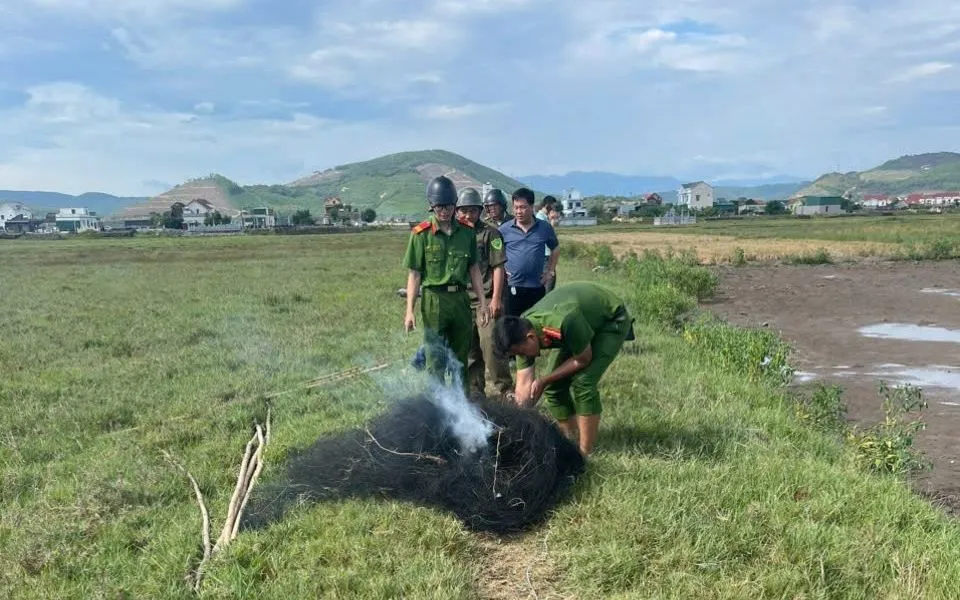 Lực lượng Công an thu gom, tiêu hủy các loại bẫy dùng đánh bắt chim trời