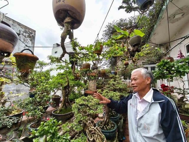 Die Geschichte eines Mannes mit einem ungewhnlichen Beruf: Ein  Rekordhalter schreibt ein Buch ber umgedrehte Bonsai.