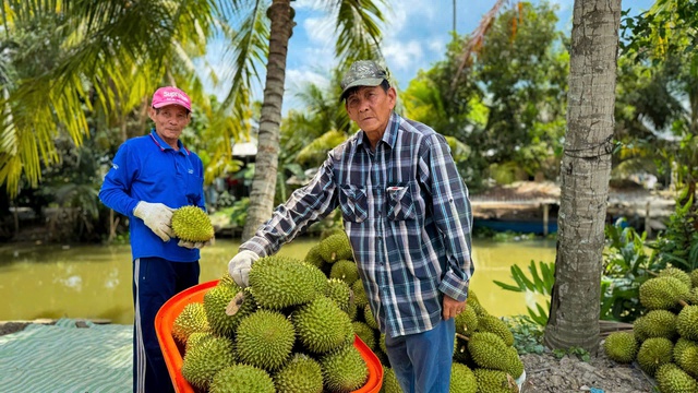Dobrá zpráva pro vietnamský durian - Foto 1.