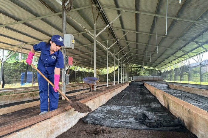 Học Bác tinh thần trách nhiệm, sáng tạo - Ảnh 2.
