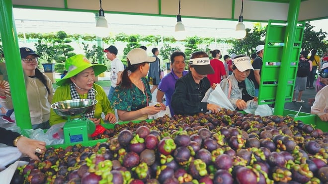 Khởi động Lễ hội Trái cây Nam Bộ lần thứ 22 - Ảnh 5.