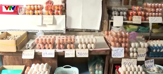 Giá trứng gia cầm giảm sâu - Ảnh 1.