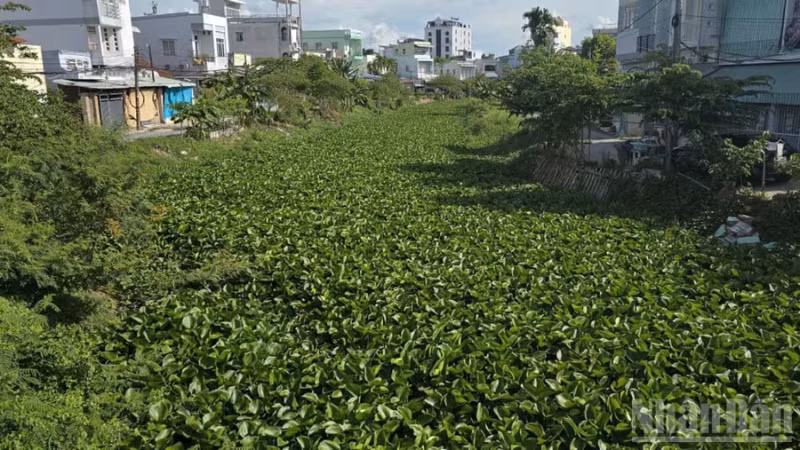 Tình trạng ô nhiễm chung của Rạch Cái Sơn, Rạch Bà Bầu, Rạch Ông Mạnh.