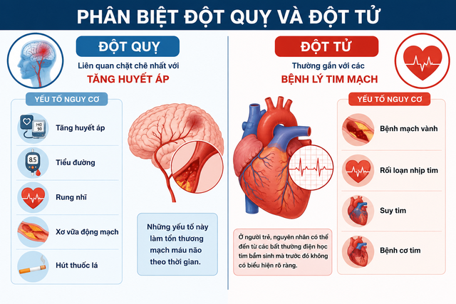 Phân biệt đột quỵ và ngừng tim khi thấy người bất ngờ ngã gục - Ảnh 2.