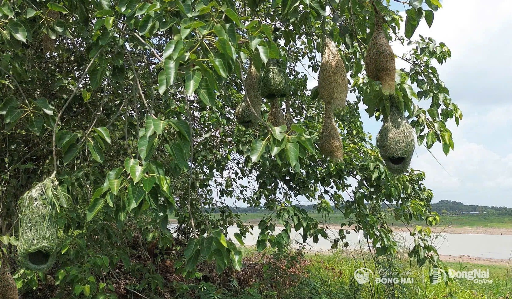 Ảnh: Thủy Tiên