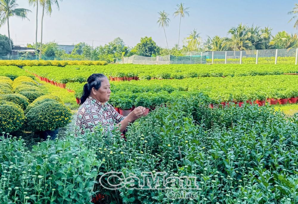 ในช่วงเวลานี้ของปี ผู้คนต่างเร่งรีบเพื่อตอบสนองคำสั่งซื้อสำหรับเทศกาลตรุษจีน