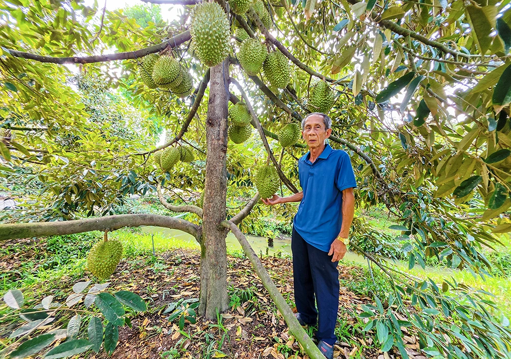 Einkommenssteigerung durch Obstbaumanbau.