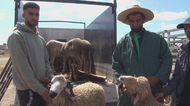 Maroc: Các khu chợ nhộn nhịp chuẩn bị Lễ Hiến Sinh - Ảnh 1.