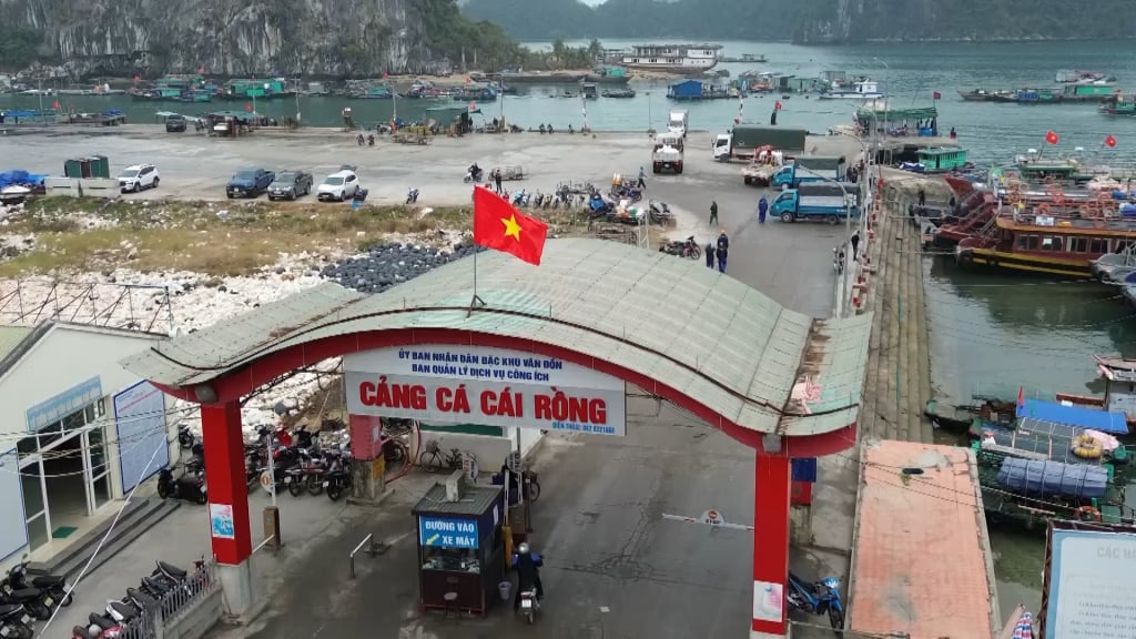 Cảng cá Cái Rồng vừa được chính thức công bố.